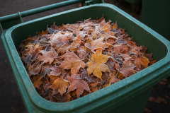 Gefrorene Biocontainer im Winter