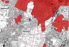 Tigermücken-Larvizid nur für Haushalte in der Befallszone