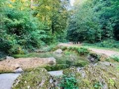 Chäppeligraben wurde revitalisiert