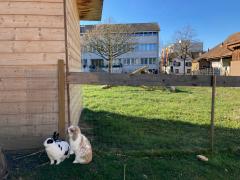 Öffnungszeiten Verwaltung, Werkhof und Hallenbad über Ostern