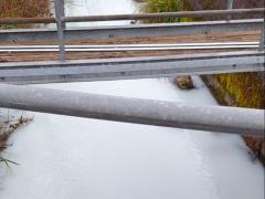 Oberwil: Marchbach weisslich verfärbt