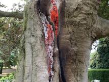 02.08.2020 Brand Schlossgasse