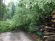 02.08.2020 Sturmschaden Chänelgrabenweg