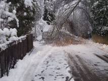 Schnee im Januar 2021 - 1