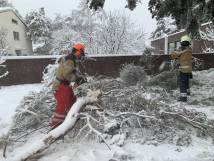 Schnee im Januar 2021 - 2