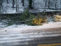 Schnee im Januar 2021 - 5