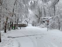 Schnee im Januar 2021 - 6