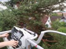 Sturmschäden 20.07.2022 - Birnbaumweg