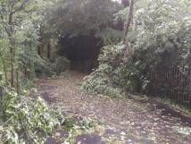 Sturmschäden 20.07.2022 - Rütistrasse