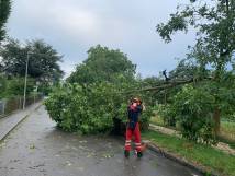Sturmschäden 20.07.2022 - Predigerhofstrasse
