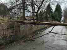 Sturmschaden Kreuzackerhägli 10.03.2023