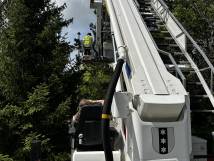 29.04.2023 - Einsatz Nr. 7 - Bienen Fiechthagstrasse 2/3