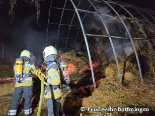 11 - 22.07.2026 - Brand Vegetation - Mittleri Rüti