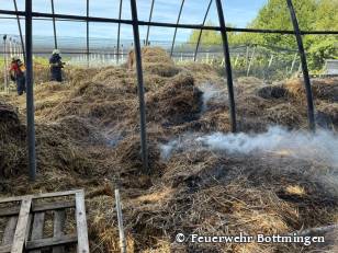 11 - 22.07.2026 - Brand Vegetation - Mittleri Rüti