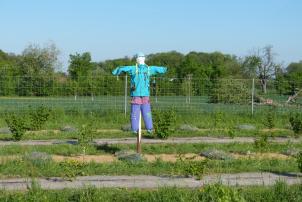 Vogelscheuchen auf Feldern in Bottmingen