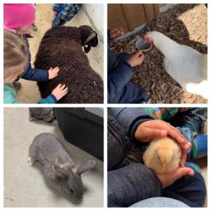 Ausflug in die Merian Gärten