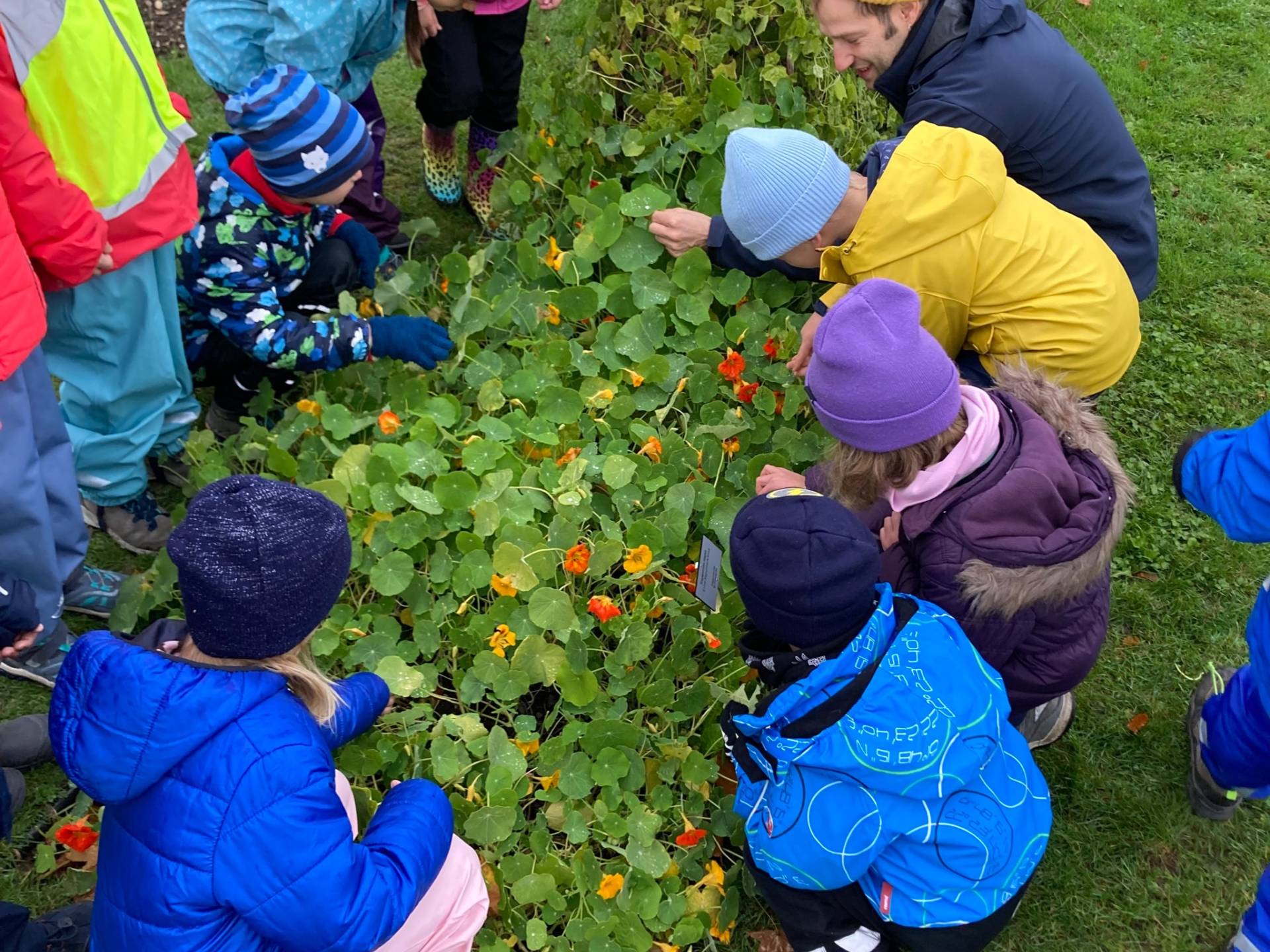 Naturdetektive unterwegs in den Meriangärten!
