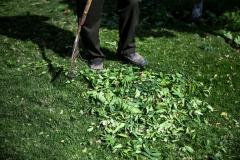 Aufhebung der Grüngut-Sammelstellen auf Ende 2024