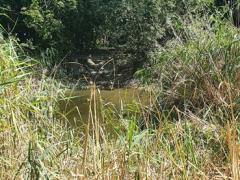 Sanierung des Weihers Fuchshag