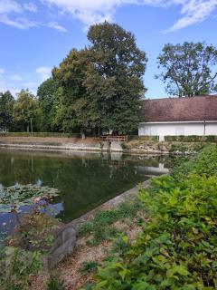 Schloss Bottmingen: Sanierung der Weihermauer