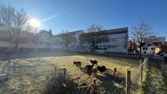 Spezielle Öffnungszeiten über Ostern